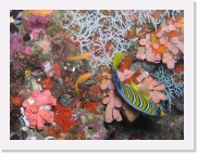 qPA050010 * 614 x 461 * (85KB)