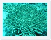 qPA050023 * 614 x 461 * (88KB)