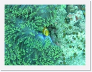 qPA050029 * 614 x 461 * (90KB)