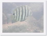 qPA050030 * 614 x 461 * (40KB)