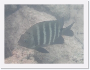 qPA050037 * 614 x 461 * (51KB)