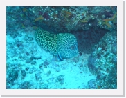 qPA060039 * 614 x 461 * (82KB)