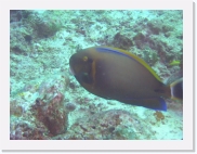 qPA060040 * 614 x 461 * (69KB)