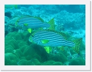 qPA060043 * 614 x 461 * (70KB)