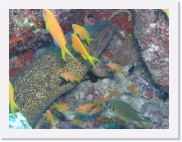 qPA060044 * 614 x 461 * (79KB)