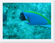 qPA060059 * 614 x 461 * (49KB)