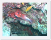 qPA060062 * 614 x 461 * (70KB)