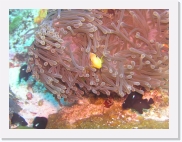 qPA070148 * 614 x 461 * (79KB)