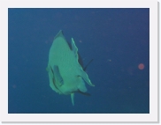 qPA070153 * 614 x 461 * (19KB)