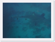 qPA070154 * 614 x 461 * (19KB)