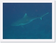 qPA070163 * 614 x 461 * (30KB)