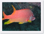 qpA050024 * 614 x 461 * (62KB)