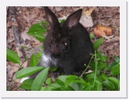 qz * 614 x 461 * (57KB)