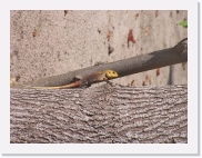 qzPA070138 * 614 x 461 * (72KB)