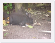 qzPA090200 * 614 x 461 * (64KB)