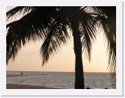 rP9290040 * 614 x 461 * (70KB)