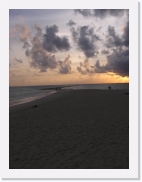 rP9290049 * 461 x 614 * (44KB)