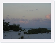 rPA010147 * 614 x 461 * (44KB)