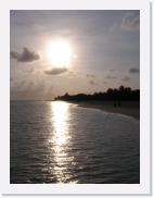 rPA060081 * 461 x 614 * (51KB)