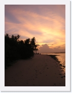 rPA060108 * 461 x 614 * (50KB)