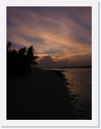 rPA060109 * 461 x 614 * (43KB)