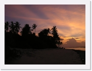 rPA060112 * 614 x 461 * (51KB)