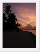 rPA060116 * 461 x 614 * (50KB)