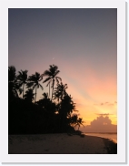 rPA060122 * 461 x 614 * (42KB)