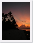 rPA060123 * 461 x 614 * (45KB)