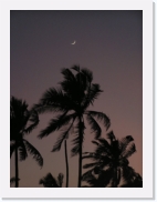 rPA060126 * 461 x 614 * (40KB)