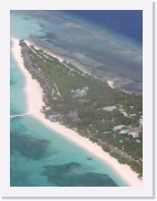 zPA100202 * 461 x 614 * (56KB)