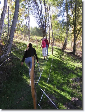 Diapositive suivante