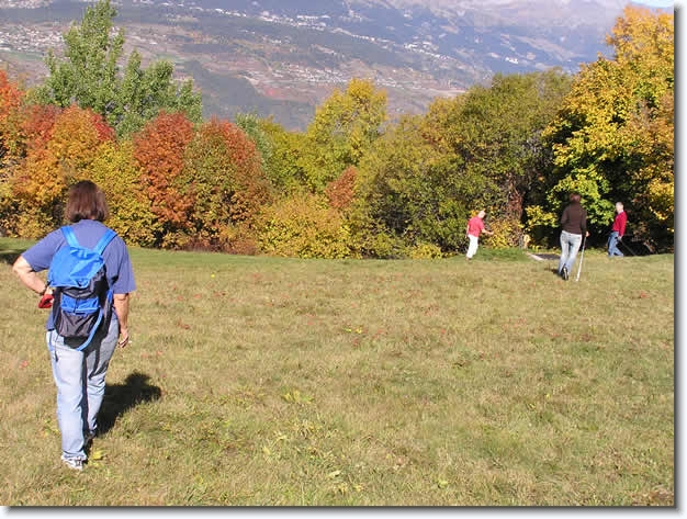 Diapositive suivante