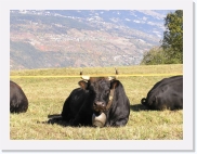 PA150006 * 614 x 461 * (66KB)