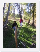 PA150014 * 461 x 614 * (53KB)