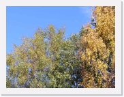 PA150016 * 614 x 461 * (67KB)