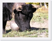 PA150031 * 614 x 461 * (75KB)