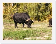 PA150032 * 614 x 461 * (62KB)