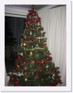 IMG_1565 * 461 x 614 * (89KB)