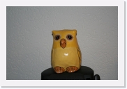 IMG_2262 * 622 x 415 * (80KB)