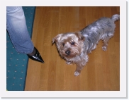 PC250102 * 614 x 461 * (56KB)