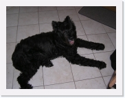 PC250112 * 614 x 461 * (58KB)