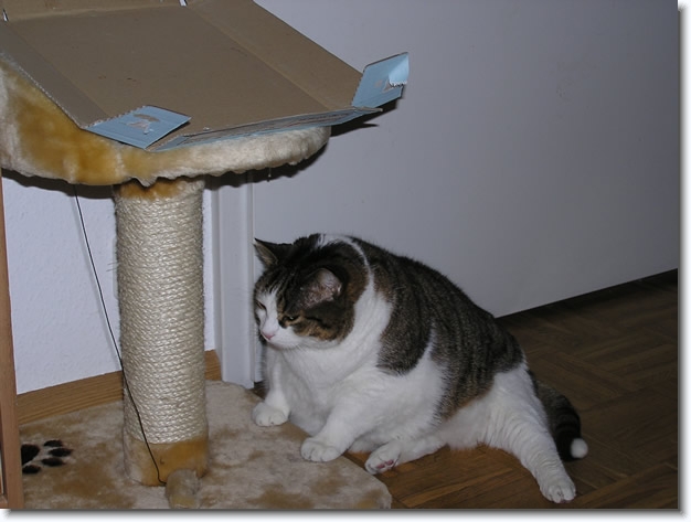 Diapositive suivante