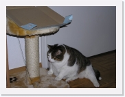 P1010167 * 614 x 461 * (51KB)