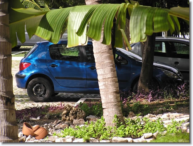 Diapositive suivante