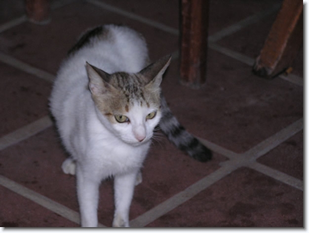 Diapositive suivante