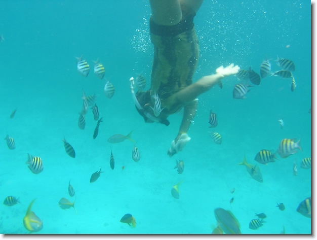 Diapositive suivante