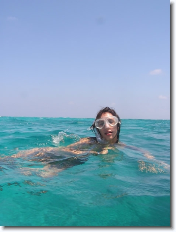 Diapositive suivante