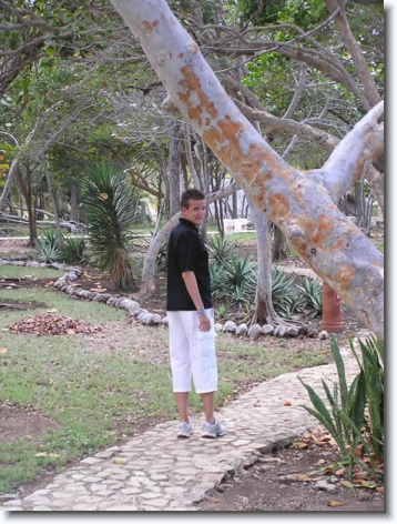 Diapositive suivante