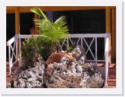 holelspaP4160062 * 614 x 461 * (81KB)